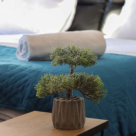Stylish Studio Apartment With Balcony Gudauri Εξωτερικό φωτογραφία